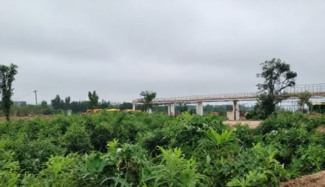 企业选型关注点，如何应对业务发展趋势